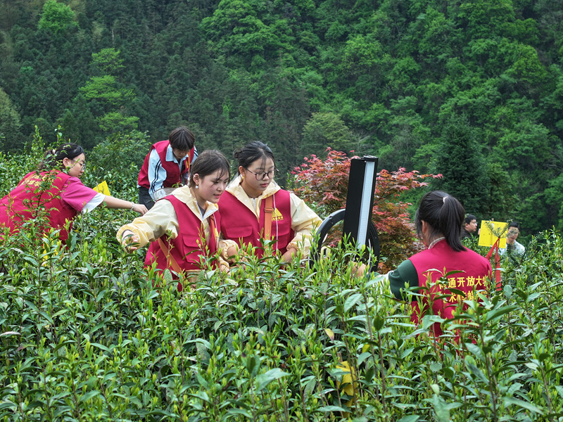 视频|南通开放大学“以美育之笔·书乡村新篇”主题活动走进黟县