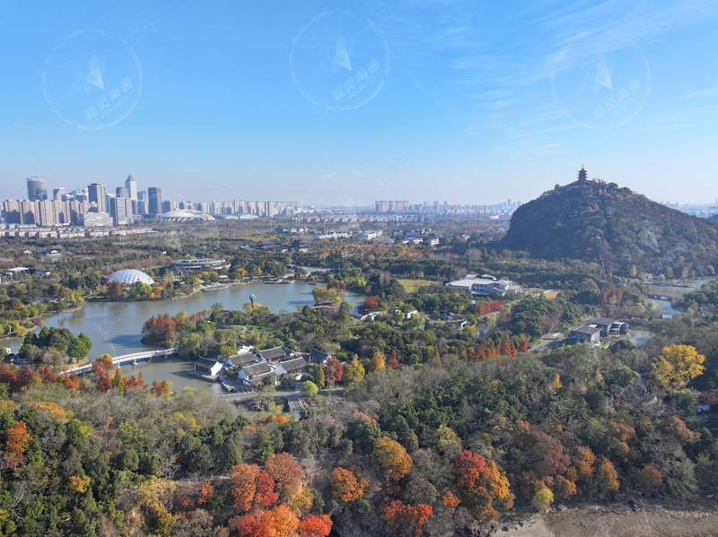 视频|远眺南通新城 初冬“秋景”美